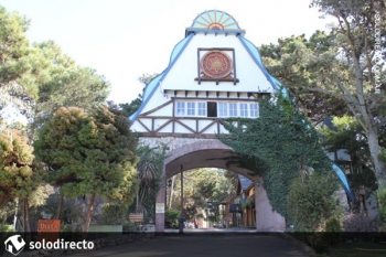 Caba�a en Alquiler en Caril�: Arbol del Cielo y Becasina (Villa Alpina) 