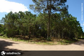 Venta Lote en Caril�