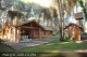 Casa en Alquiler en Carilo - Due&ntilde;o Alquila Casa en Carilo - Mirlo entre Araucaria y Almendro
