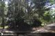 Lote en Venta en Carilo: Urraca entre Cedro y Cerezo