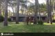 Casa en Alquiler en Carilo: Pinguino entre Ceibo y Espinillo