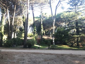 Casa en Alquiler en Carilo: Alamo 698
